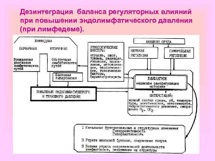 Дезинтеграция баланса регуляторных влияний при повышении эндолимфатического давления (при лимфедеме). 