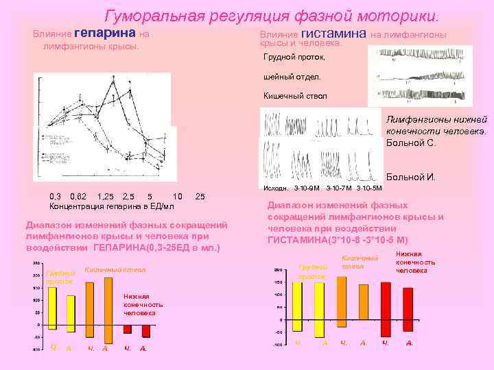 Гуморальная регуляция фазной моторики. Влияние гепарина на лимфангионы крысы. Влияние гистамина на лимфангионы крысы