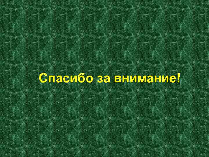 Спасибо за внимание! 
