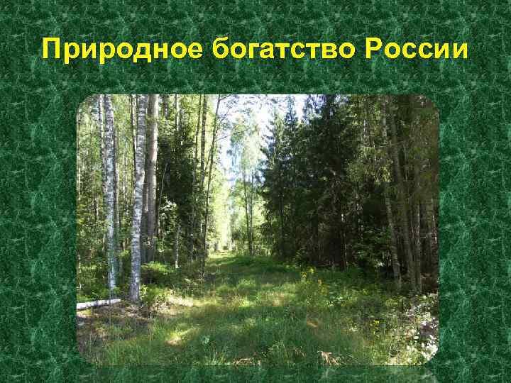 Природное богатство России 