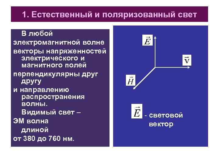 1. Естественный и поляризованный свет В любой электромагнитной волне векторы напряженностей электрического и магнитного