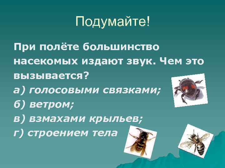 Подумайте! При полёте большинство насекомых издают звук. Чем это вызывается? а) голосовыми связками; б)