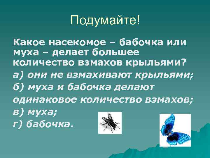 Подумайте! Какое насекомое – бабочка или муха – делает большее количество взмахов крыльями? а)