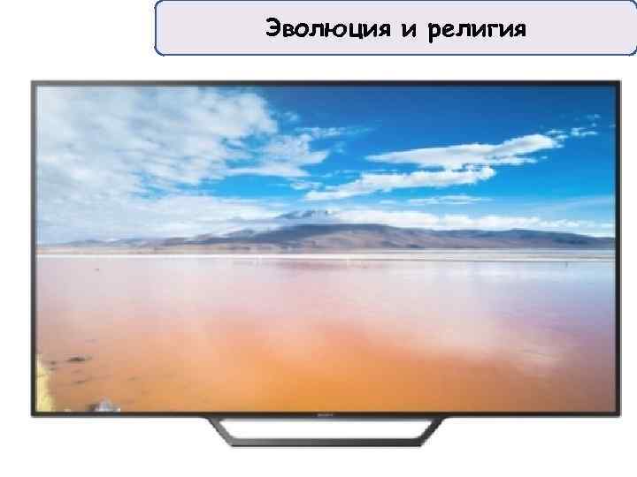 Эволюция и религия 