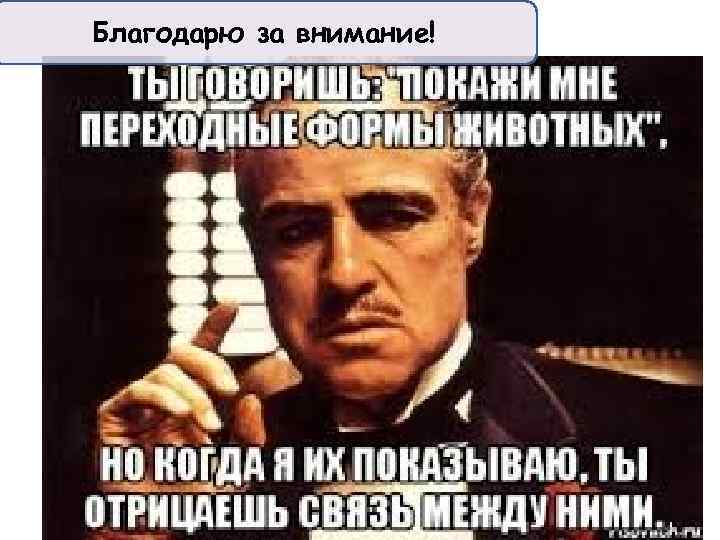 Благодарю за внимание! 