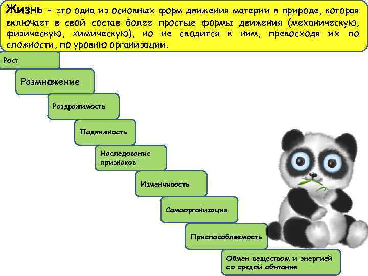 Жизнь – это одна из основных форм движения материи в природе, которая включает в