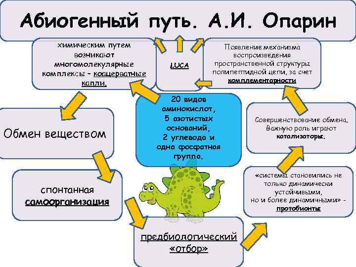 Абиогенный путь. А. И. Опарин химическим путем возникают многомолекулярные комплексы – коацерватные капли. Обмен