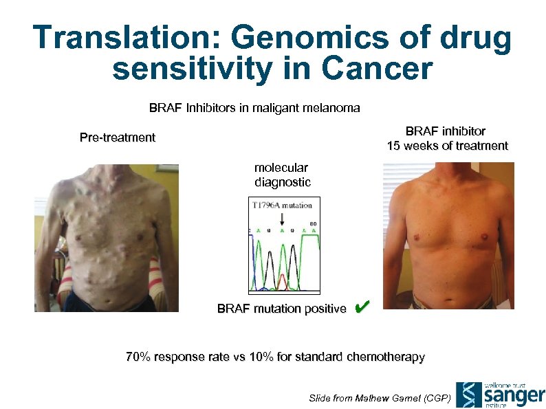 Translation: Genomics of drug sensitivity in Cancer BRAF Inhibitors in maligant melanoma BRAF inhibitor