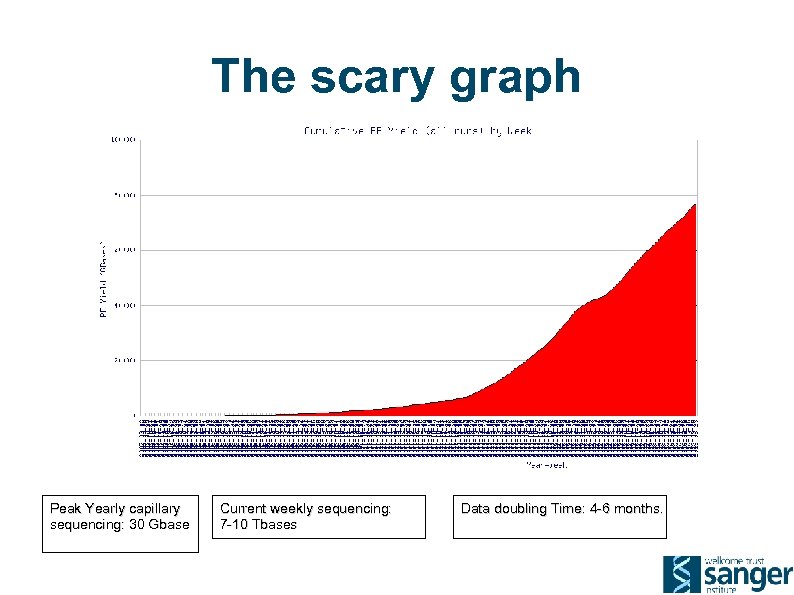 The scary graph Peak Yearly capillary sequencing: 30 Gbase Current weekly sequencing: 7 -10