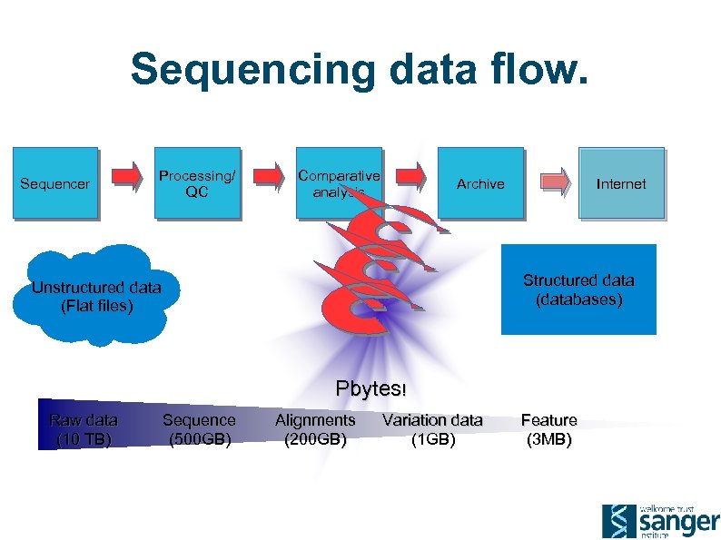 Sequencing data flow. Sequencer Processing/ QC Comparative analysis Archive Internet Structured data (databases) Unstructured