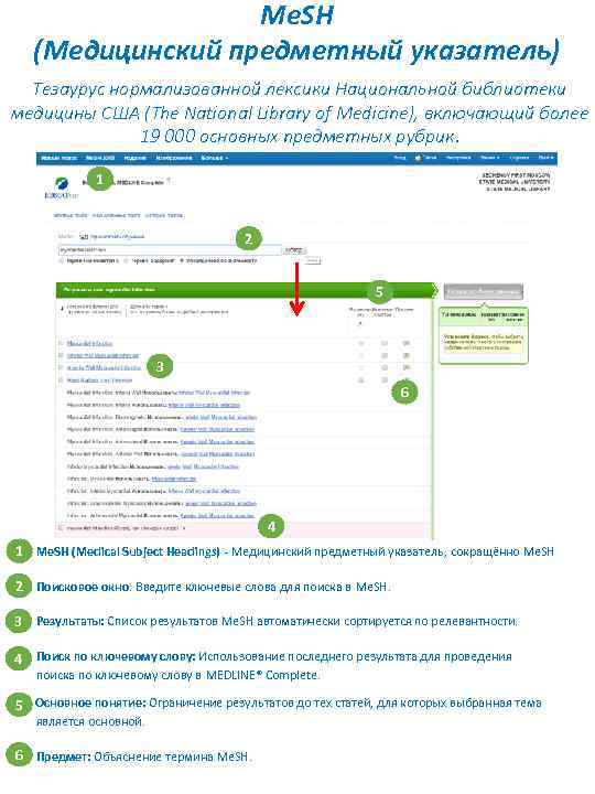 Me. SH (Медицинский предметный указатель) Тезаурус нормализованной лексики Национальной библиотеки медицины США (The National