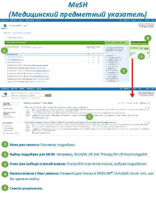 Me. SH (Медицинский предметный указатель) 4 1 3 2 5 1 Поля для галочек: