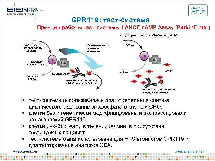 GPR 119: тест-система Принцип работы тест-системы LANCE c. AMP Assay (Perkin. Elmer) • тест-система