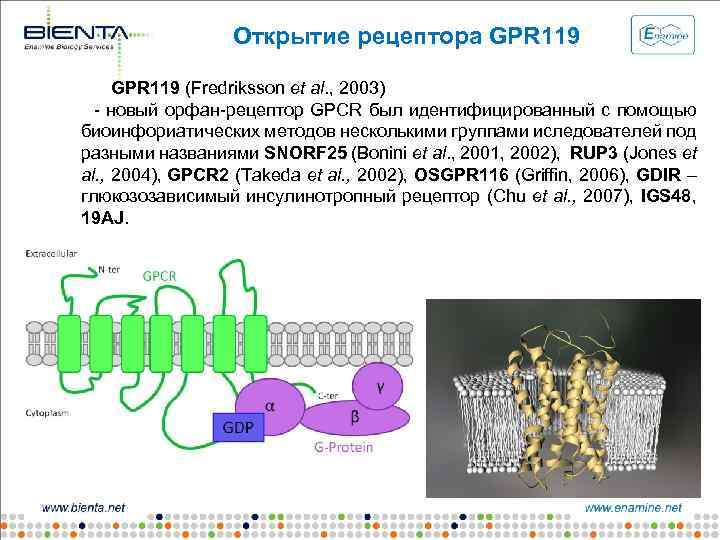 Открытие рецептора GPR 119 (Fredriksson et al. , 2003) - новый орфан-рецептор GPCR был