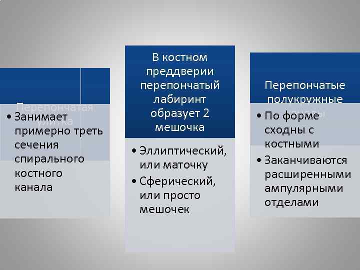 Перепончатая • Занимает улитка примерно треть сечения спирального костного канала В костном преддверии перепончатый