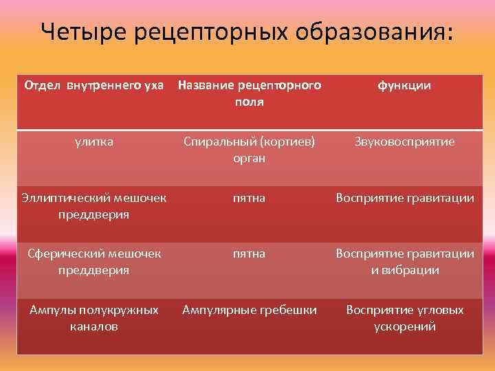 Четыре рецепторных образования: Отдел внутреннего уха Название рецепторного поля функции улитка Спиральный (кортиев) орган