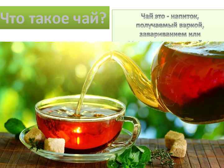 Что такое чай? 