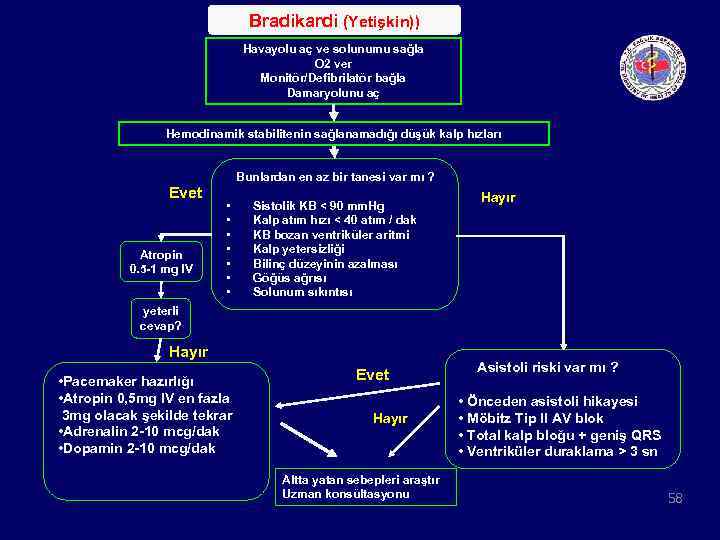 Bradikardi (Yetişkin)) Havayolu aç ve solunumu sağla O 2 ver Monitör/Defibrilatör bağla Damaryolunu aç