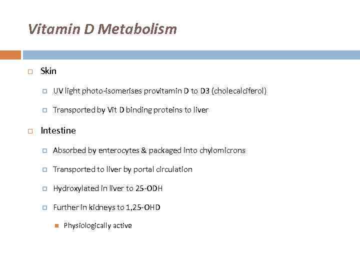 Vitamin D Metabolism Skin UV light photo-isomerises provitamin D to D 3 (cholecalciferol) Transported