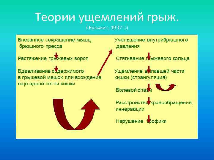 Теории ущемлений грыж. ( Кузьмин, 1937 г. ) 