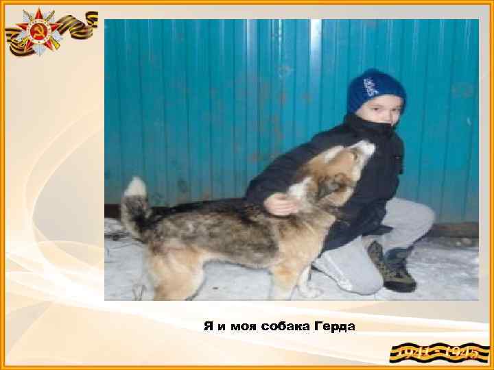  Мы благодарны собакам за их неоценимую помощь в годы войны. (Советский Союз к