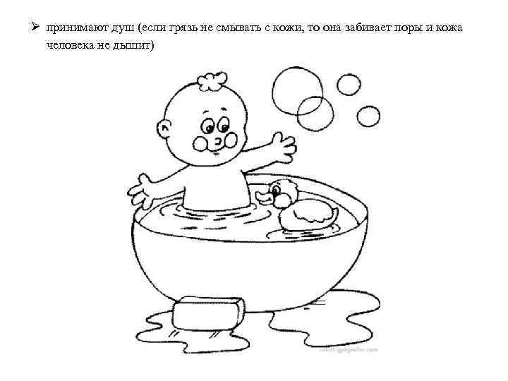 Ø принимают душ (если грязь не смывать с кожи, то она забивает поры и