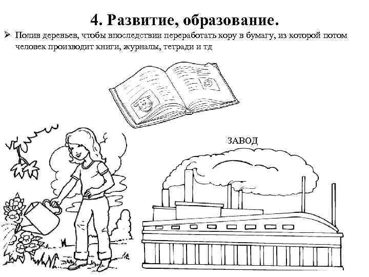 4. Развитие, образование. Ø Полив деревьев, чтобы впоследствии переработать кору в бумагу, из которой