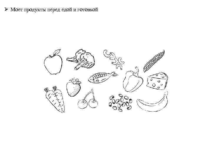 Ø Моет продукты перед едой и готовкой 