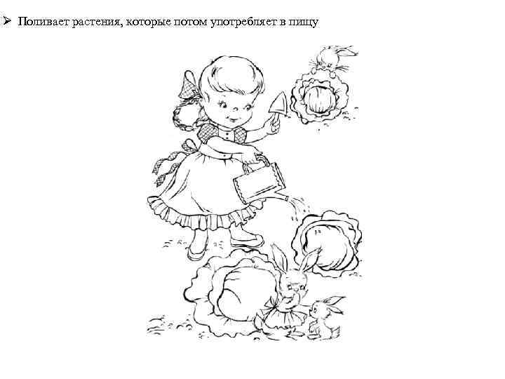 Ø Поливает растения, которые потом употребляет в пищу 