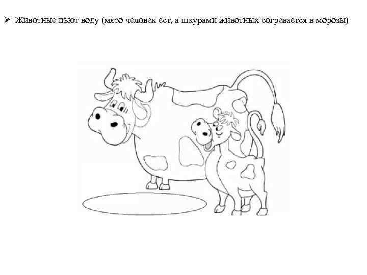 Ø Животные пьют воду (мясо человек ест, а шкурами животных согревается в морозы) 