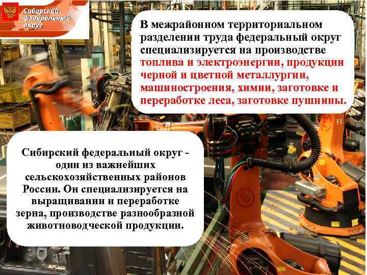 В межрайонном территориальном разделении труда федеральный округ специализируется на производстве топлива и электроэнергии, продукции