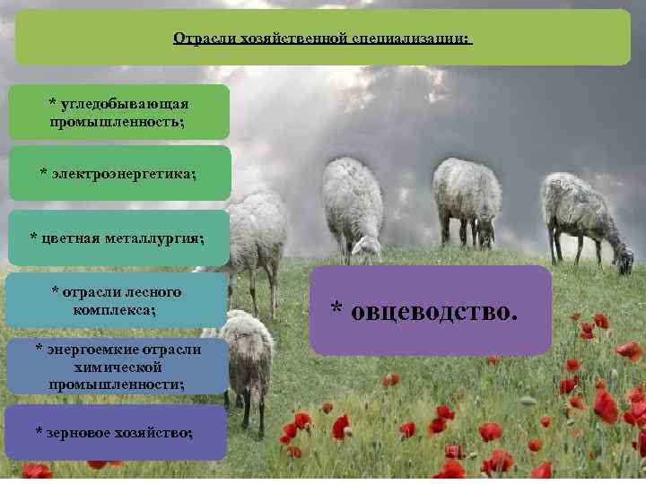 Отрасли хозяйственной специализации: * угледобывающая промышленность; * электроэнергетика; * цветная металлургия; * отрасли лесного