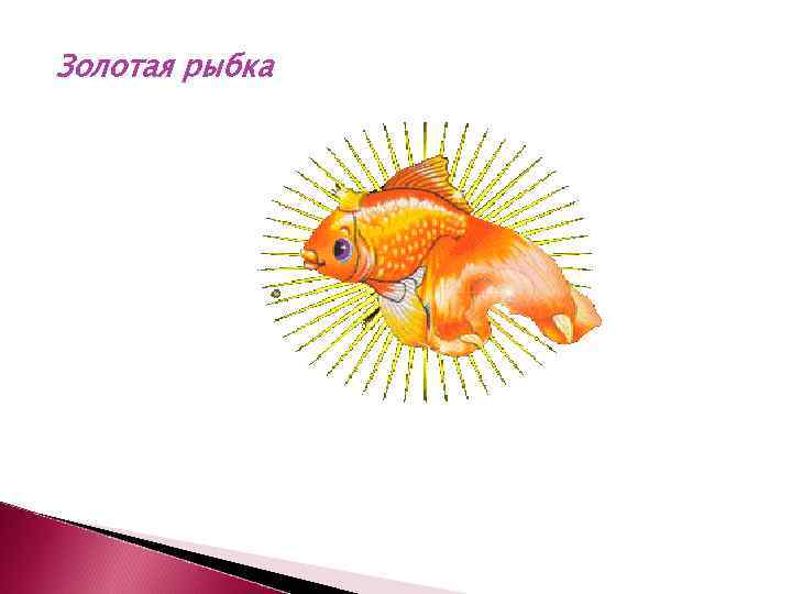 Золотая рыбка 