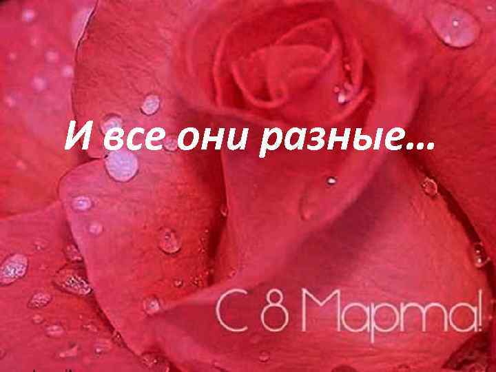 И все они разные… 