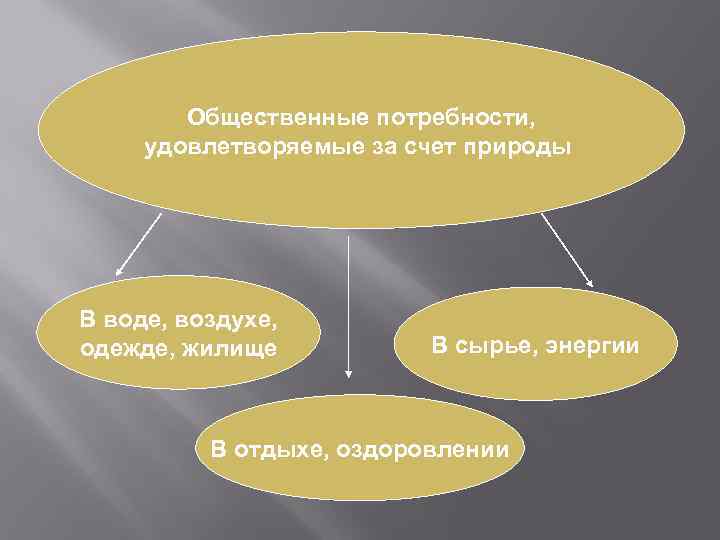 Общественные потребности человека