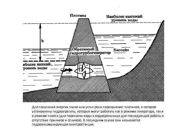 Для Работа ПЭС залив или устье реки перекрывают плотиной, в которой получения энергии установлены