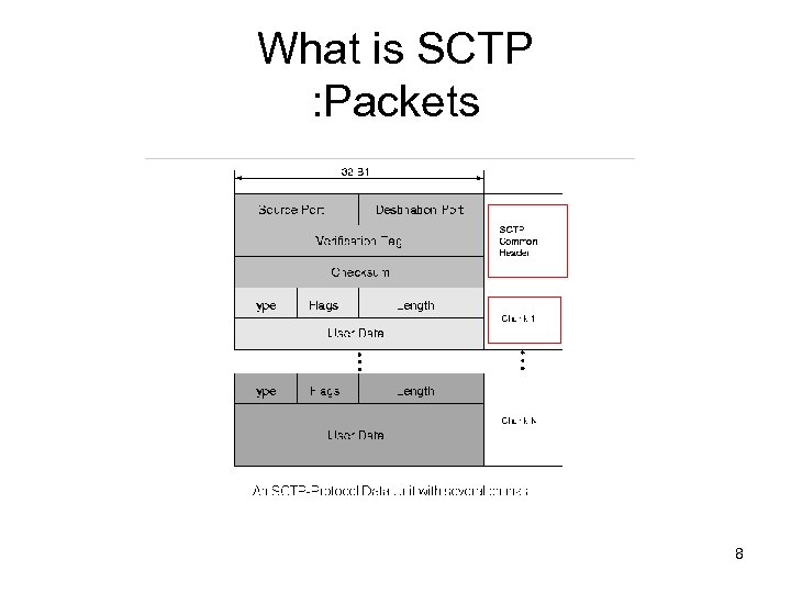 What is SCTP : Packets 8 