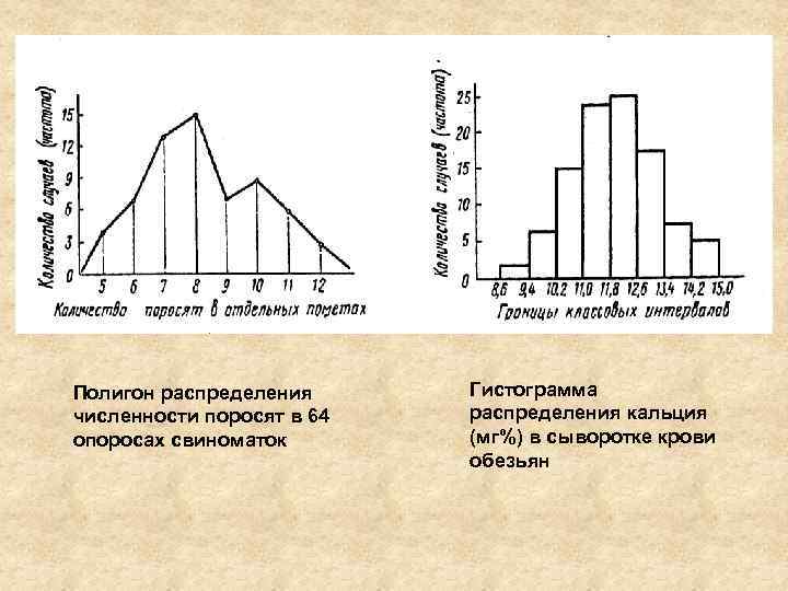 Полигон распределения численности поросят в 64 опоросах свиноматок Гистограмма распределения кальция (мг%) в сыворотке