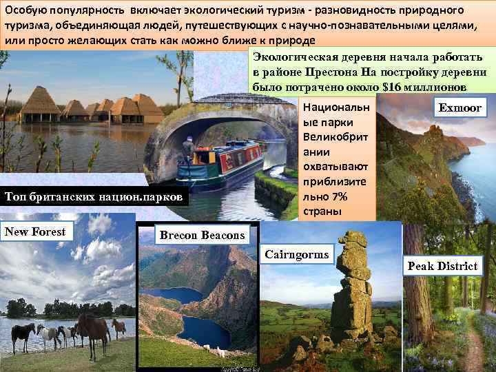Особую популярность включает экологический туризм - разновидность природного туризма, объединяющая людей, путешествующих с научно-познавательными