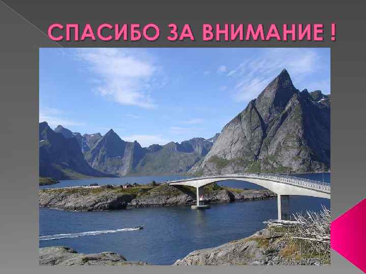 СПАСИБО ЗА ВНИМАНИЕ ! 