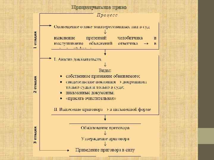 Процессуальное право 