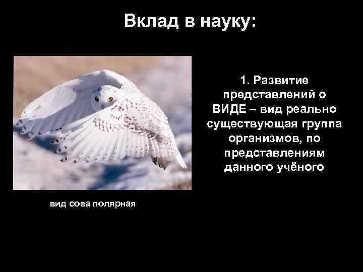 Вклад в науку: 1. Развитие представлений о ВИДЕ – вид реально существующая группа организмов,