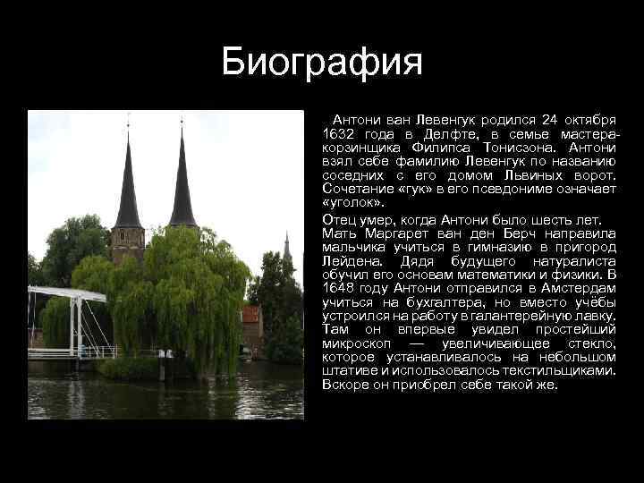 Биография Антони ван Левенгук родился 24 октября 1632 года в Делфте, в семье мастеракорзинщика