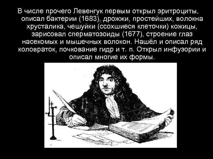 В числе прочего Левенгук первым открыл эритроциты, описал бактерии (1683), дрожжи, простейших, волокна хрусталика,