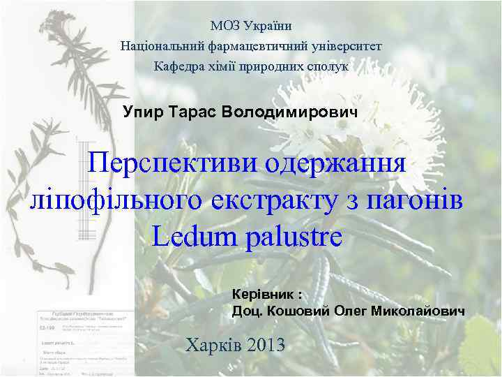 МОЗ України Національний фармацевтичний університет Кафедра хімії природних сполук Упир Тарас Володимирович Перспективи одержання