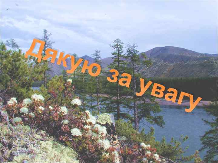 Дяк ую за у вагу 