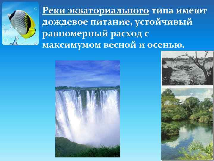 Реки экваториального типа имеют дождевое питание, устойчивый равномерный расход с максимумом весной и осенью.