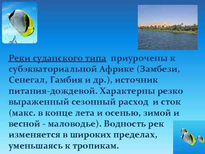 Реки суданского типа приурочены к субэкваториальной Африке (Замбези, Сенегал, Гамбия и др. ), источник