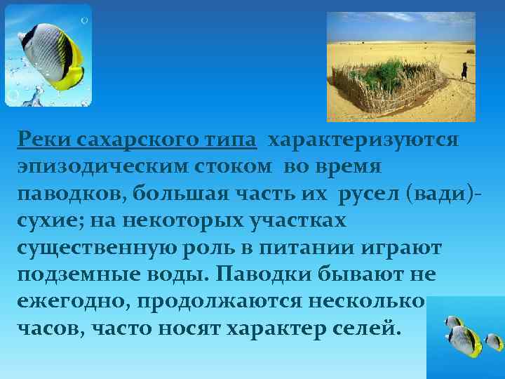 Реки сахарского типа характеризуются эпизодическим стоком во время паводков, большая часть их русел (вади)сухие;