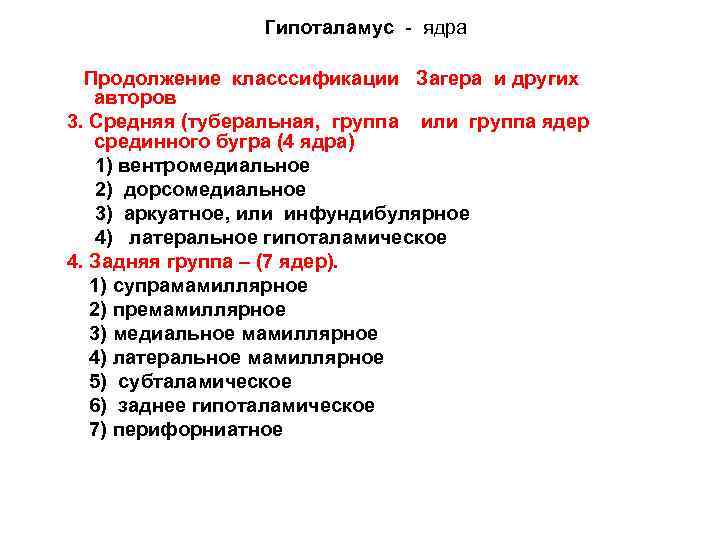 Гипоталамус - ядра Продолжение класссификации Загера и других авторов 3. Средняя (туберальная, группа или